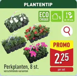 ALDI Perkplanten aanbieding