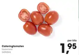 Hanos Cateringtomaten aanbieding
