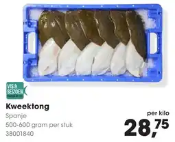 Hanos Kweektong aanbieding
