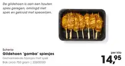Hanos Scheria Gildehoen gamba spiesjes aanbieding