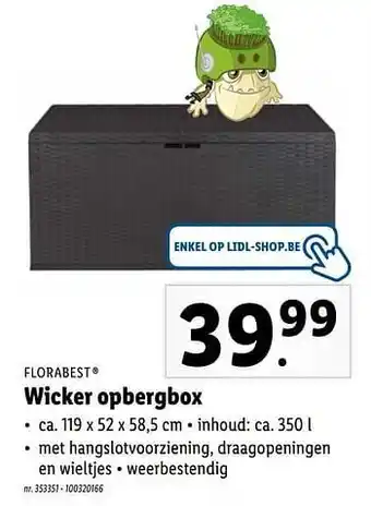 Lidl Wicker opbergbox aanbieding