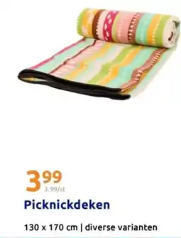 Action Picknickdeken aanbieding