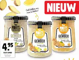 Jumbo Roots Gember aanbieding