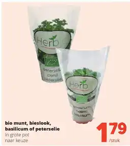 Spar bio munt, bieslook, basilicum of peterselie in grote pot naar keuze aanbieding
