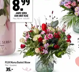 Jumbo PLUK Mama Boeket Woow aanbieding