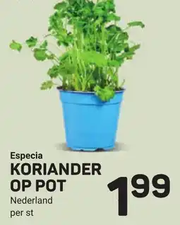 Ekoplaza Especia koriander op pot aanbieding