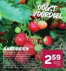 Ekoplaza Aardbeien aanbieding