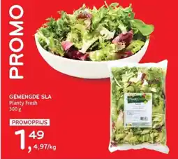 Alvo Gemengde sla planty fresh aanbieding