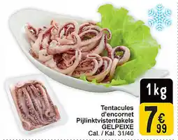 Cora Tentacules d'encornet Pijlinktvistentakels Gelpeixe aanbieding