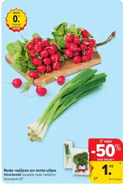 Carrefour Rode radijzen en lente-uitjes aanbieding
