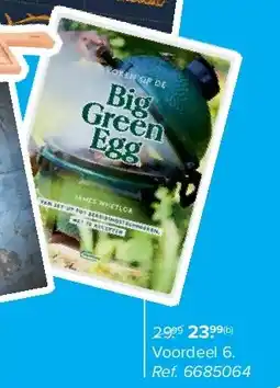 Carrefour Big Green Egg aanbieding