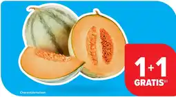 Carrefour Charentaismeloen aanbieding