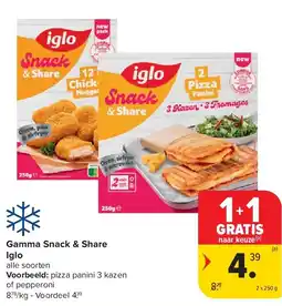 Carrefour Gamma Snack & Share Iglo aanbieding