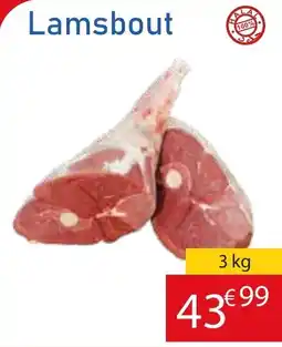 Lamsbout