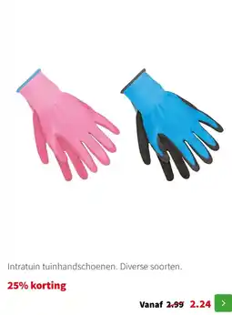 Intratuin Intratuin tuinhandschoenen. diverse soorten. aanbieding