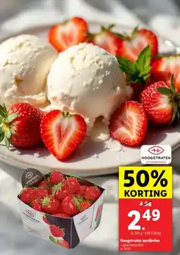 Lidl Hoogstraten aardbeien aanbieding