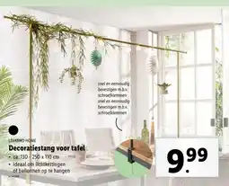 Lidl LIVARNO HOME Decoratiestang voor tafel aanbieding