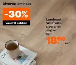 Kwantum Laminaat Westville aanbieding