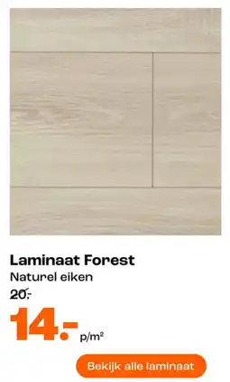 Kwantum Laminaat Forest aanbieding