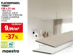 Hubo Plafondpaneel First aanbieding