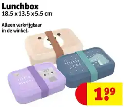 Kruidvat Lunchbox aanbieding