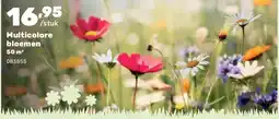 Happyland Multicolore bloemen 50 m² aanbieding