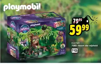 Playmobil Boom der wijsheid 70801