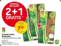 Brico Schors Pinus Maritima aanbieding