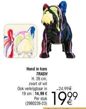 Cora Hond in hars TRASH aanbieding