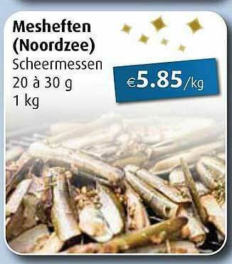 Aronde Mesheften aanbieding