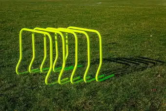 Decathlon Set van 5 hagen - 45cm aanbieding