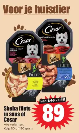 Dirk Sheba filets in saus of Cesar aanbieding