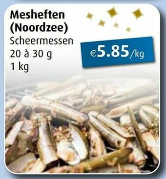 Aronde Mesheften aanbieding