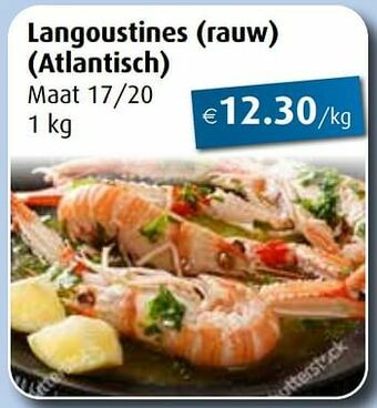 Langoustines rauw