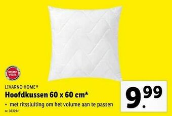 Hoofdkussen