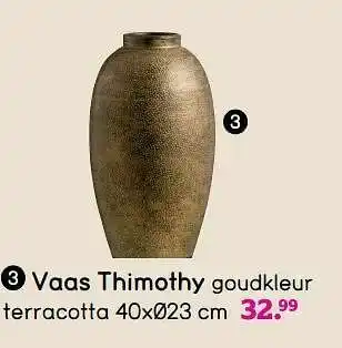 Leen Bakker Vaas thimothy aanbieding