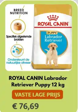 Maxi Zoo Royal canin labrador retriever puppy aanbieding