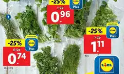 Lidl Verse gesneden kruiden aanbieding