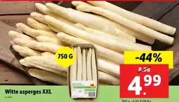 Lidl Witte asperges XXL aanbieding