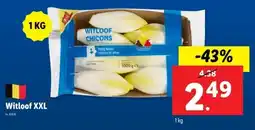 Lidl Witloof XXL aanbieding