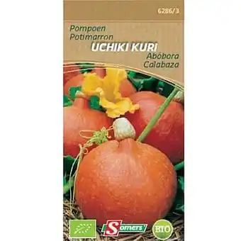 Brico Somers zaad pakket pompoen ’Uchiki Kuri’ aanbieding