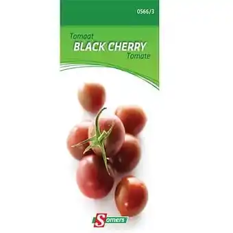 Brico Somers zaad pakket tomaat ’Black cherry’ aanbieding