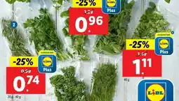 Lidl 2. Verse gesneden kruiden aanbieding