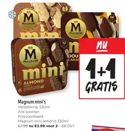 Jumbo Magnum mini's aanbieding