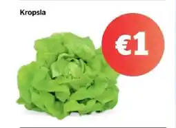 Spar Kropsla aanbieding