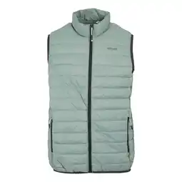 Decathlon Heren Hillpack II Gilet (Gletsjer) aanbieding