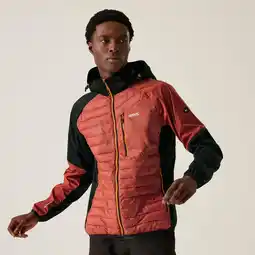 Decathlon Gevulde Jas Wandelen Heren Waterafstotend Lichtgewicht Windbestendig aanbieding