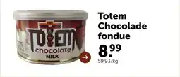 AVEVE Totem Chocolade fondue aanbieding