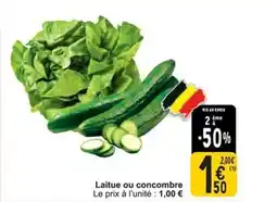 Cora Laitue ou concombre aanbieding