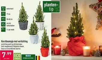 ALDI Kerstboompje met verlichting aanbieding